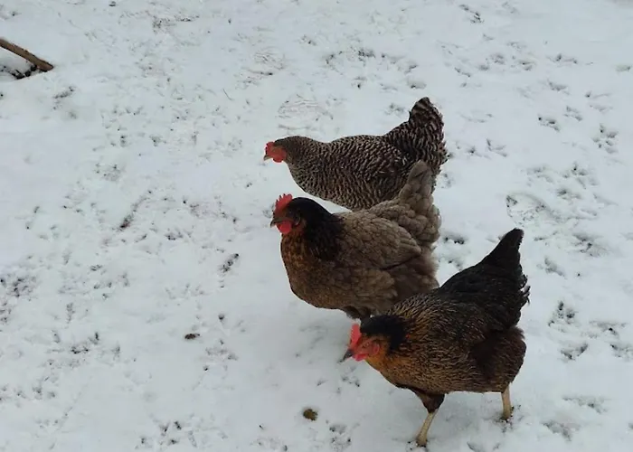 Am Balkon Des Erzgebirges