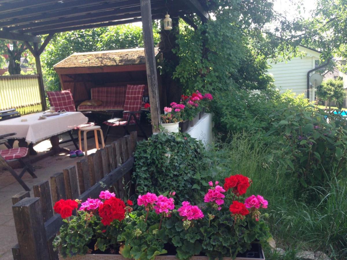 Am Balkon Des Erzgebirges Apartment *