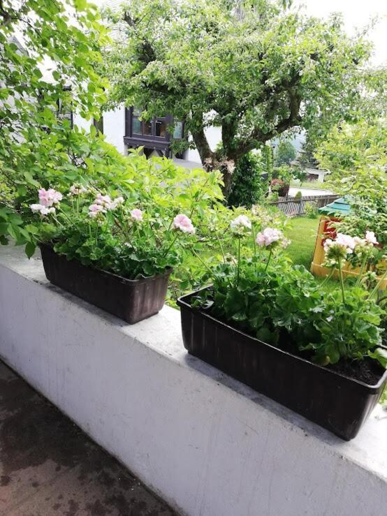 Am Balkon Des Erzgebirges